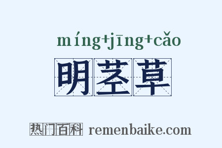 明茎草是什么意思的图片